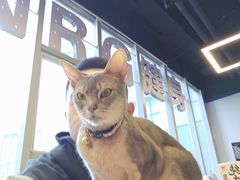-NRG健身私教CLUB(打浦桥店)