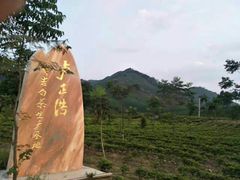 -帐篷客·溪龙茶谷度假酒店