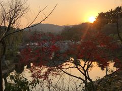 -白马涧龙池景区