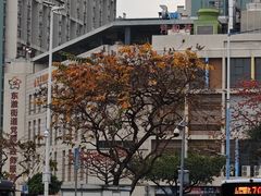 -坑口(地铁站)