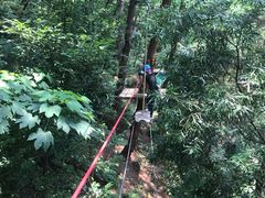 -芦仙山景区-飞越丛林探险乐园