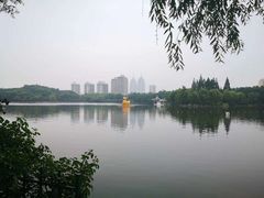 -南翔镇银翔湖公园