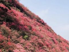 -木兰云雾山