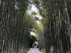 -上海市龙华烈士陵园