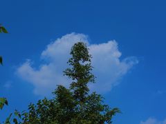 -大蜀山国家森林公园