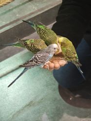 -酷嗒动物文化乐园(cutezoo西溪乐天城店)