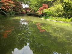 -北山街历史文化街区