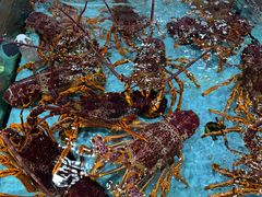 -渔民新村(番禺总店)