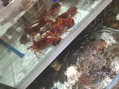 -盒马鲜生(新都心店)
