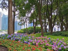 -北外滩滨江绿地