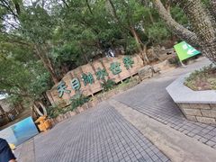 -天目湖山水园