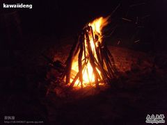 -西涌国际滨海旅游区