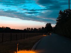 -汉长安城未央宫国家考古遗址公园