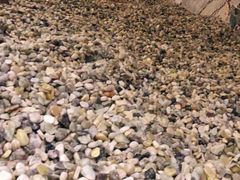 -果裹水汇(帅府店)