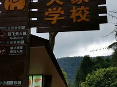 -野象谷景区