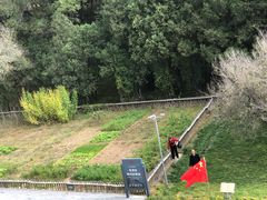 -延安杨家岭革命旧址