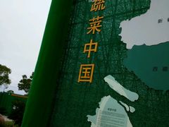 -上海都市菜园