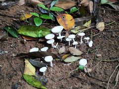 -七仙岭温泉国家森林公园