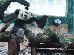-广州动物园