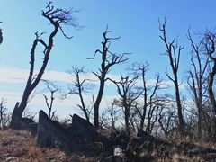 -东天目山风景区