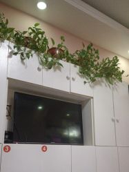 -香薇妮丝·定制减肥·身材管理