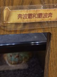 -Zoolung Zoolung动物主题公园(海信广场店)