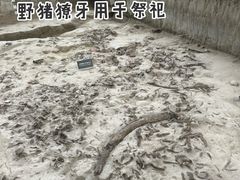 -金沙遗址博物馆