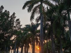 -华侨公园