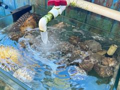 -蓝湾碧波·老字号·疍家非遗海上餐厅