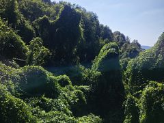 -中国花亭湖风景名胜区-西风禅寺