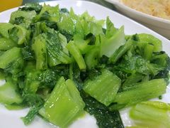 -年辉渔村