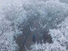 -紫金山山顶公园