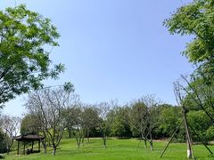 -白鹭湾湿地公园