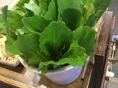 -小龙坎老火锅(北京三里屯店)