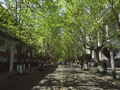 -四川农业大学(雅安校区)