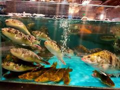-宴西湖(滨湖公园店)