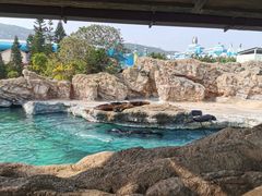 -珠海长隆海洋王国