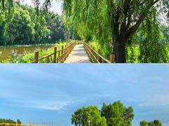 -白渔泡湿地公园