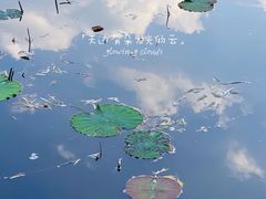 -颐和园