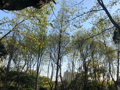 -南通博物苑-崇川人民公园