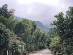 -东林大峡谷