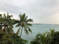 -巴拉湾海滩