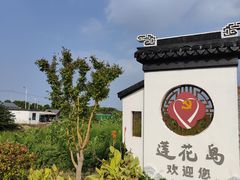 -莲花岛景区
