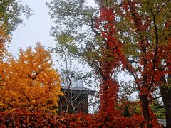 -北京西山国家森林公园