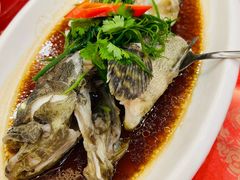 -福满园大酒楼(梅林店)