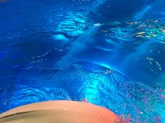 -海合安青岛极地海洋公园