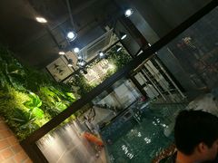 -宠小格时尚宠物生活馆(唐镇店)