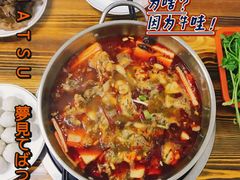 -专业跳跳蛙·彭彭老铺(步行街店)