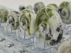 -胶囊画廊