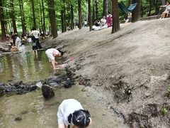 -白水寺森林公园